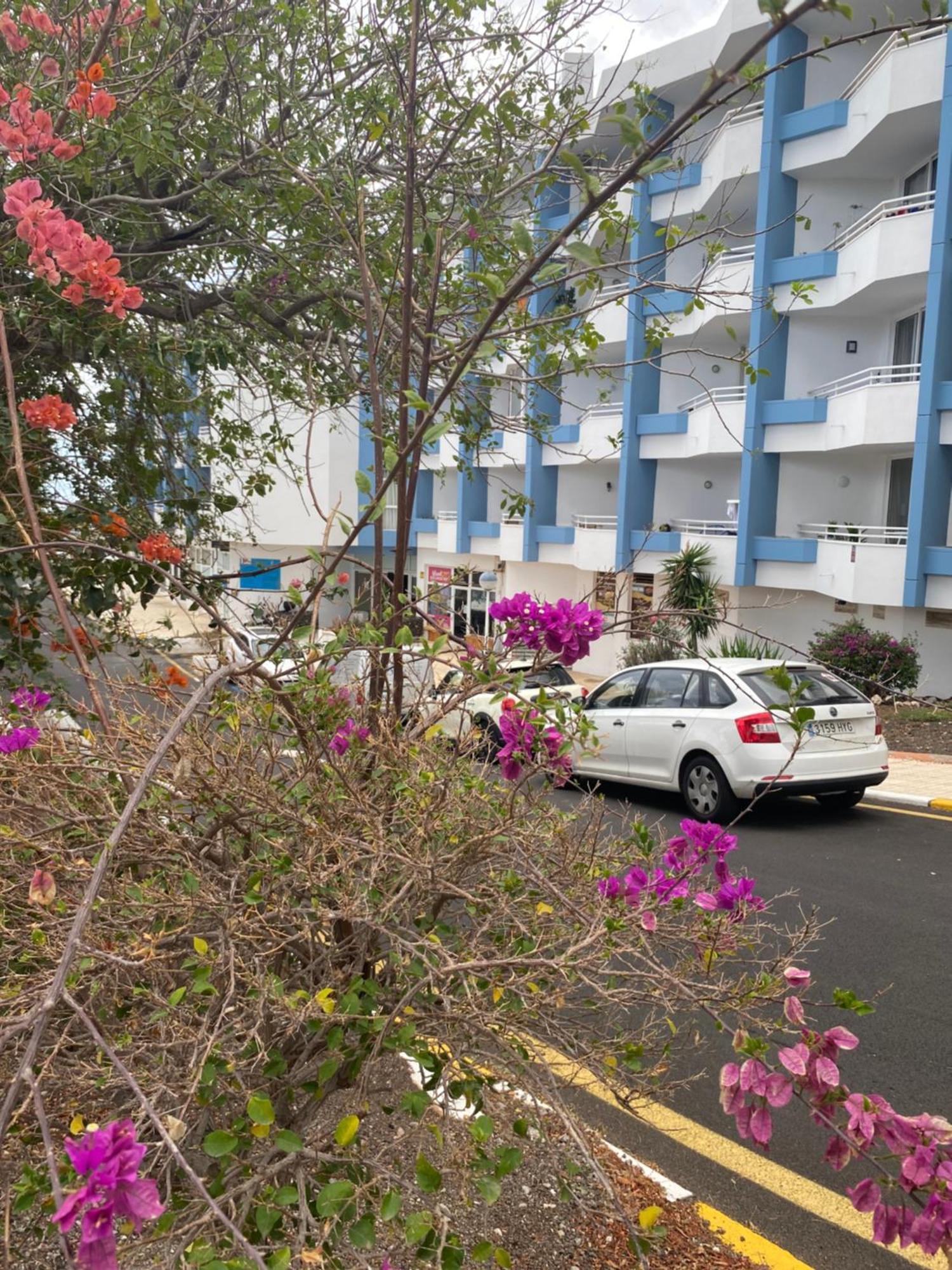 Sissy Tenerife Apartman San Miguel de Abona Bagian luar foto
